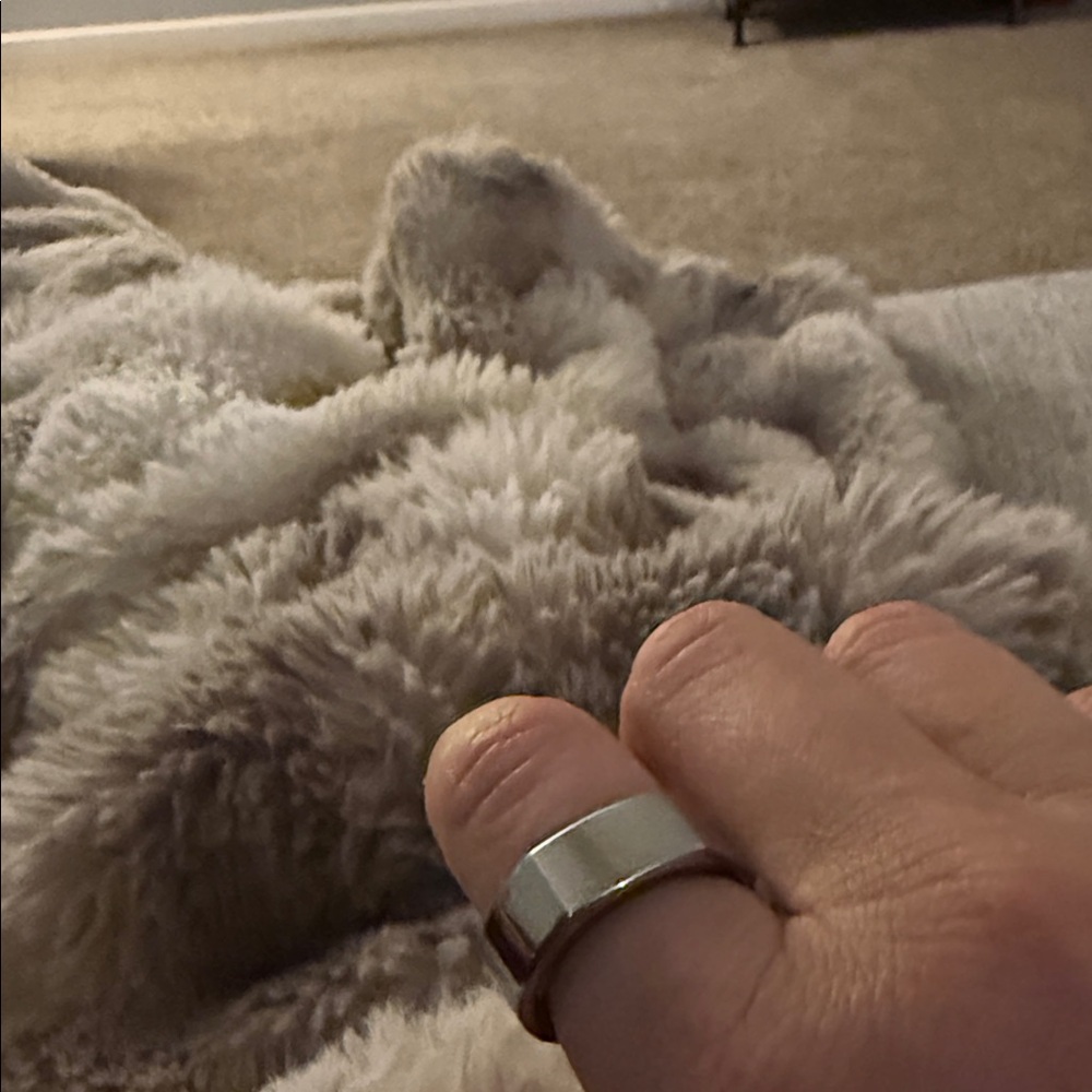 Oura Silver Ring 3